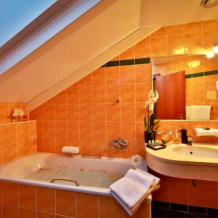 Carlton Hotel 4*